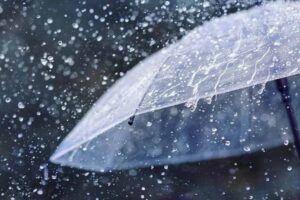 PDMA issues rain alert across Punjab until October 14