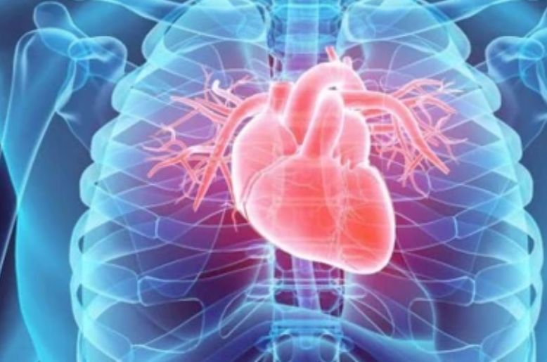 Heart disease accounts for 29% of deaths in Pakistan