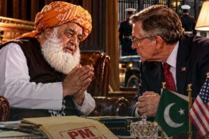 Fazlur Rehman asked US Envoy if Washington would back him as Pakistan’s PM